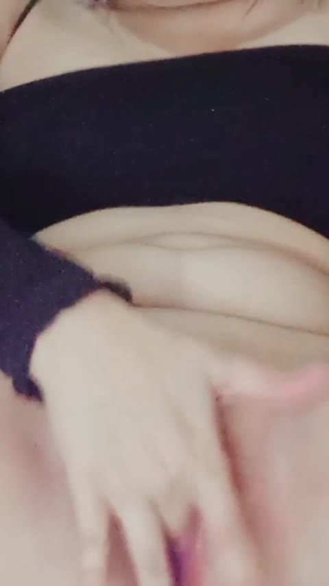 ELGA 13